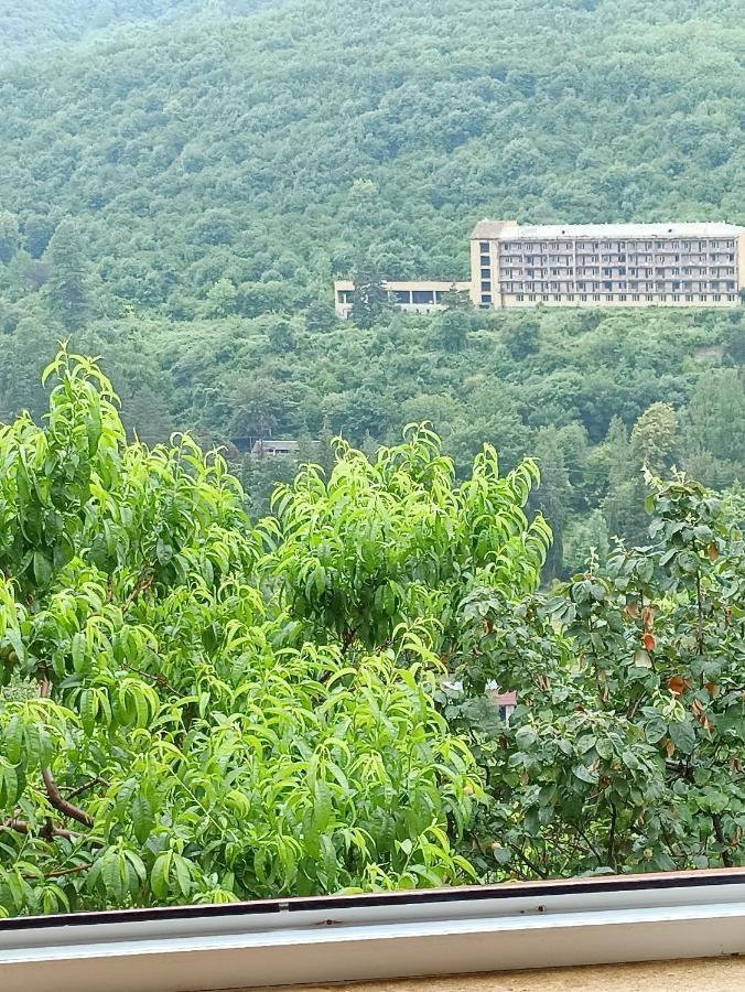 Green Garden Ijevan Bagian luar foto