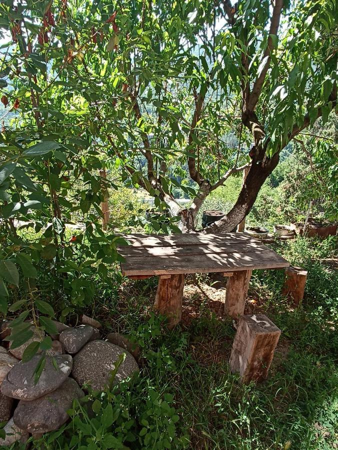 Green Garden Ijevan Bagian luar foto