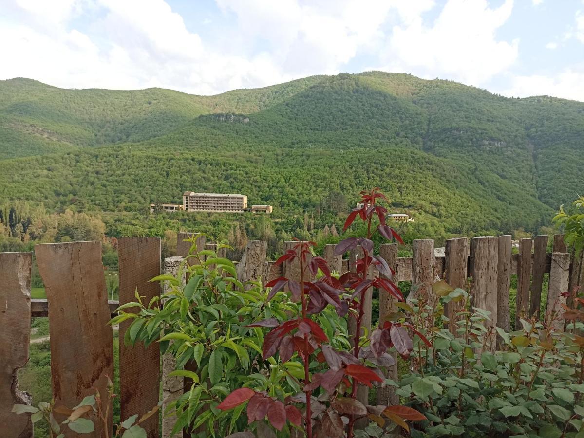Green Garden Ijevan Bagian luar foto