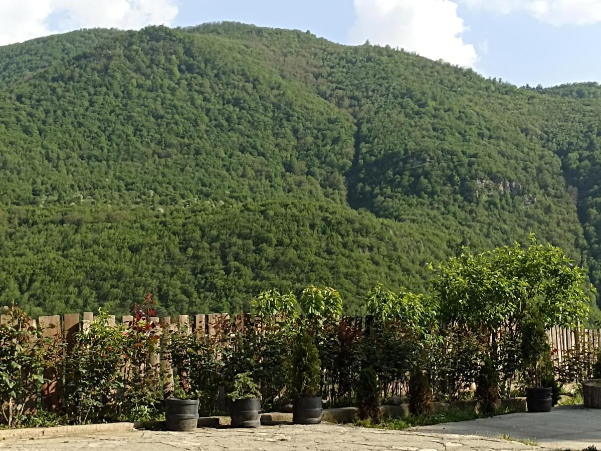 Green Garden Ijevan Bagian luar foto