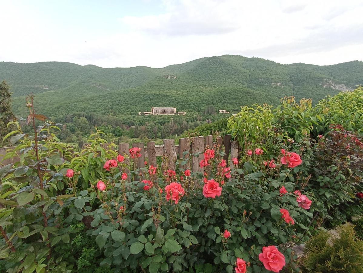 Green Garden Ijevan Bagian luar foto